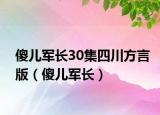 傻儿军长30集四川方言版（傻儿军长）
