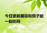 今日更新蘑菇和茄子能一起吃吗
