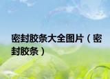 密封胶条大全图片（密封胶条）