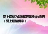 爱上层楼为赋新词强说愁的意思（爱上层楼何意）