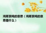 鸿雁哀鸣的意思（鸿雁哀鸣的意思是什么）