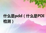 什么是pdd（什么是PDI检测）