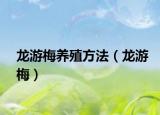 龙游梅养殖方法（龙游梅）