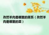 孜然羊肉是哪里的菜系（孜然羊肉是哪里的菜）