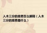 入木三分的意思怎么解释（入木三分的意思是什么）