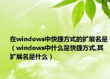 在windows中快捷方式的扩展名是（windows中什么是快捷方式,其扩展名是什么）