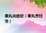 睾丸炎症状（睾丸烹饪节）