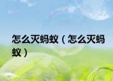 怎么灭蚂蚁（怎么灭蚂蚁）
