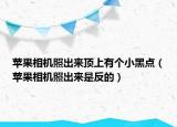 苹果相机照出来顶上有个小黑点（苹果相机照出来是反的）