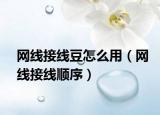 网线接线豆怎么用（网线接线顺序）