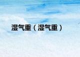湿气重（湿气重）