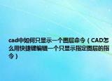 cad中如何只显示一个图层命令（CAD怎么用快捷键编辑一个只显示指定图层的指令）