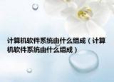 计算机软件系统由什么组成（计算机软件系统由什么组成）