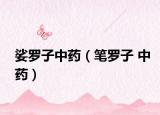 娑罗子中药（笔罗子 中药）
