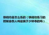 铁裆功是怎么练的（铁裆功练习的时候会伤人吗是属于少林寺的吗）