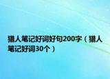 猎人笔记好词好句200字（猎人笔记好词30个）