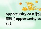 opportunity cost什么意思（opportunity cost）