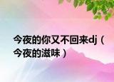 今夜的你又不回来dj（今夜的滋味）