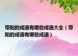 带阳的成语有哪些成语大全（带阳的成语有哪些成语）