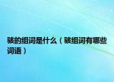 骇的组词是什么（骇组词有哪些词语）