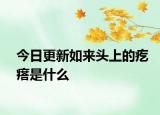 今日更新如来头上的疙瘩是什么