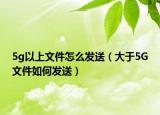 5g以上文件怎么发送（大于5G文件如何发送）