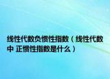 线性代数负惯性指数（线性代数中 正惯性指数是什么）