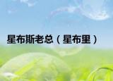 星布斯老总（星布里）