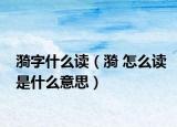 漪字什么读（漪 怎么读是什么意思）