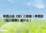 茅盾小说《蚀》三部曲（茅盾的《蚀三部曲》是什么）