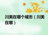 川美在哪个城市（川美在哪）