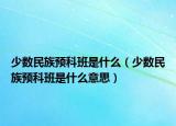 少数民族预科班是什么（少数民族预科班是什么意思）