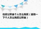 住房公积金个人怎么购买（咨询一下个人怎么购买公积金）