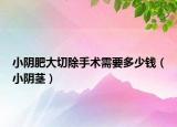 小阴肥大切除手术需要多少钱（小阴茎）