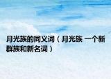 月光族的同义词（月光族 一个新群族和新名词）