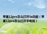 苹果12pro怎么打开5a功能（苹果12pro怎么打开手电筒）