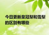 今日更新皇冠梨和雪梨的区别有哪些