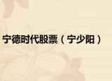 宁德时代股票（宁少阳）