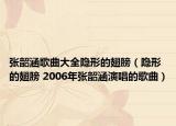 张韶涵歌曲大全隐形的翅膀（隐形的翅膀 2006年张韶涵演唱的歌曲）