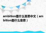 ambition是什么意思中文（ambition是什么意思）