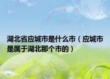 湖北省应城市是什么市（应城市是属于湖北那个市的）