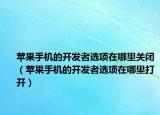 苹果手机的开发者选项在哪里关闭（苹果手机的开发者选项在哪里打开）