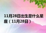 11月28日出生是什么星座（11月28日）