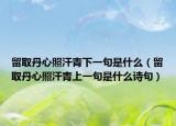 留取丹心照汗青下一句是什么（留取丹心照汗青上一句是什么诗句）