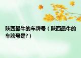 陕西最牛的车牌号（陕西最牛的车牌号是?）