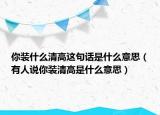 你装什么清高这句话是什么意思（有人说你装清高是什么意思）