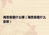 海景房是什么梗（海景房是什么意思）