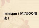 miniqun（MINIQQ用法）