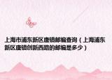 上海市浦东新区唐镇邮编查询（上海浦东新区唐镇创新西路的邮编是多少）