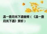 温一壶月光下酒音频（《温一壶月光下酒》赏析）
